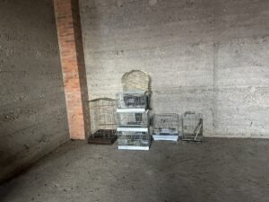 IMG_7155